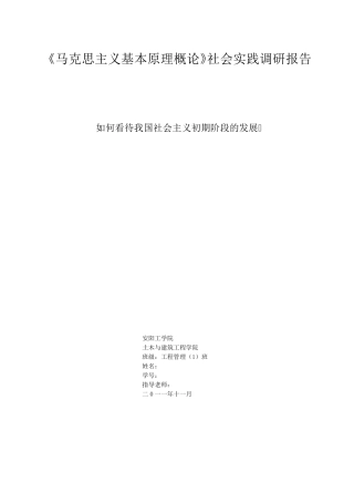 《马克思主义基本原理概论》社会实践调研报告