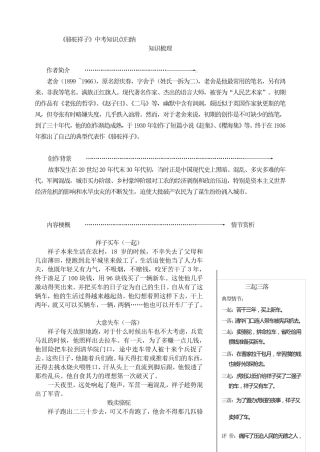 《骆驼祥子》中考知识点归纳