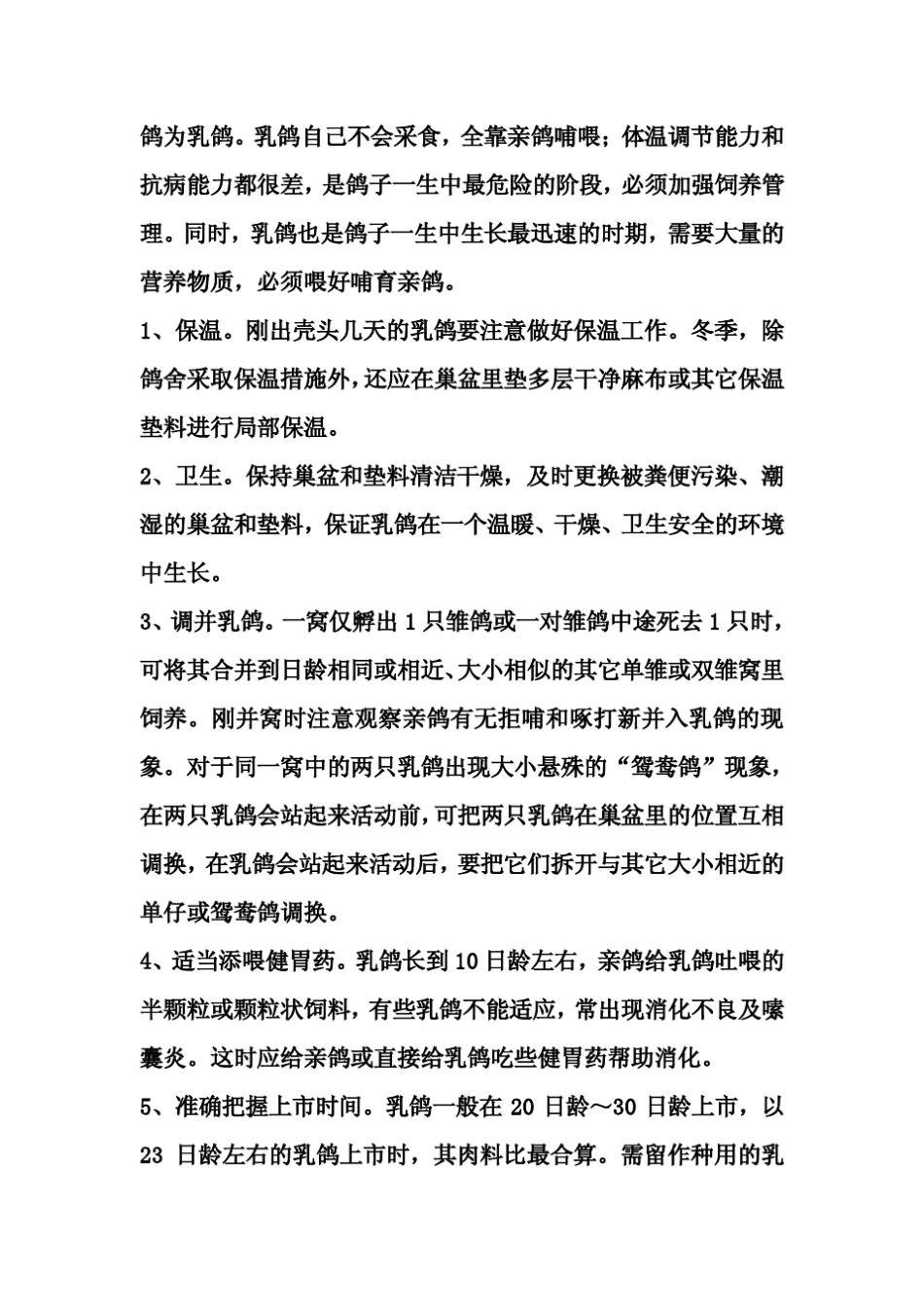 《鸽子养殖技术》(怎样养殖鸽子)_第2页