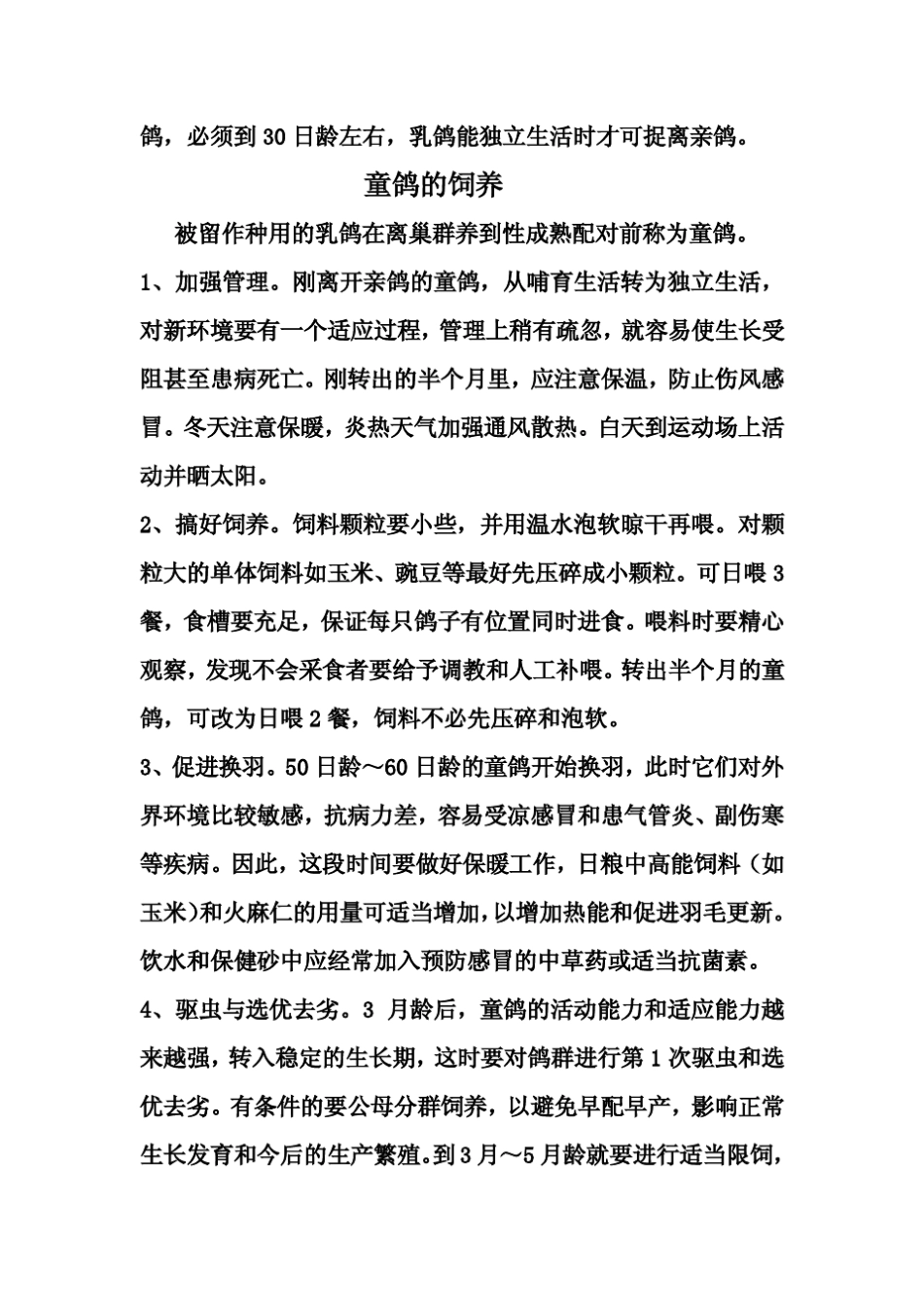 《鸽子养殖技术》(怎样养殖鸽子)_第3页