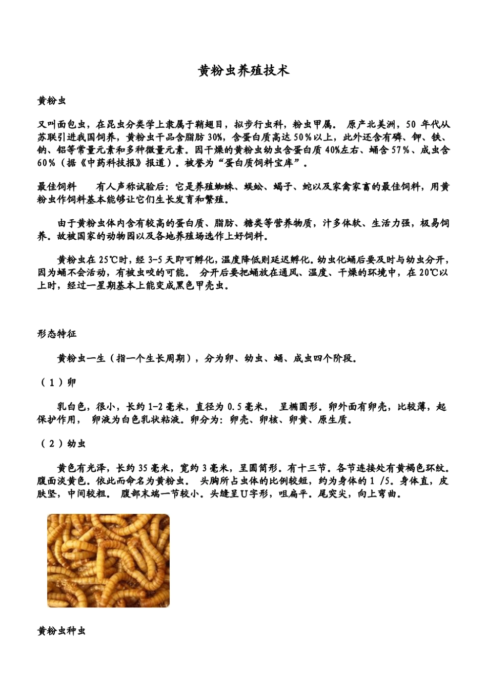 《黄粉虫养殖技术》(怎样养殖黄粉虫)_第1页