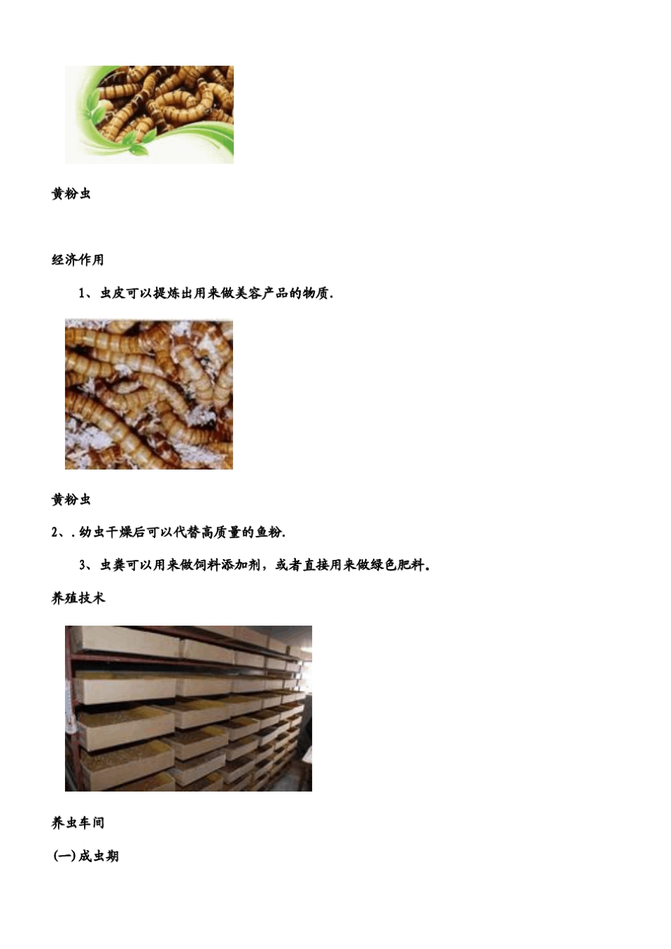 《黄粉虫养殖技术》(怎样养殖黄粉虫)_第3页