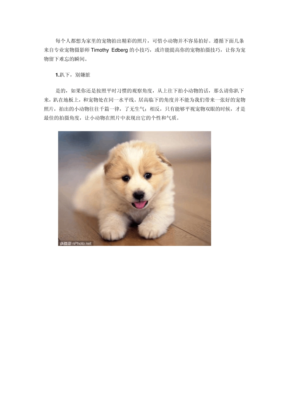 『摄影教室』5个宠物摄影小技巧_第1页