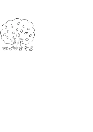 一二年级色彩练习(简笔画图案)