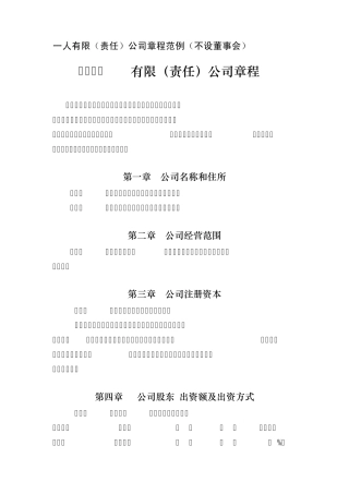 一人有限责任公司章程范本(不设董事会)R