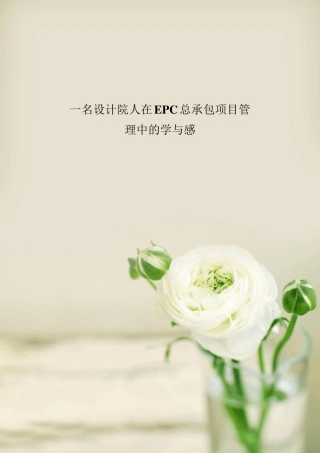 一名设计院人在EPC总承包项目管理中的学与感