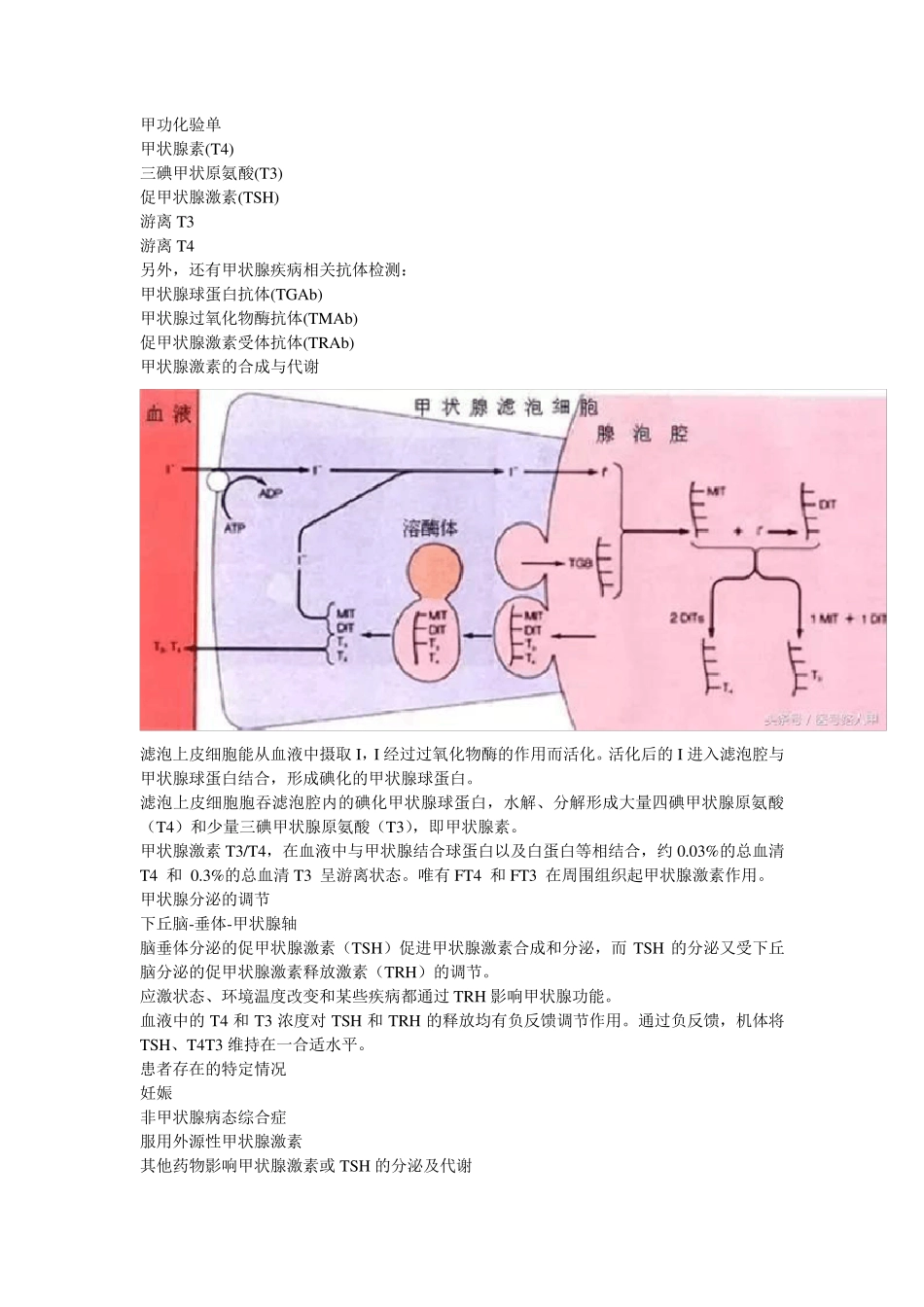 一图读懂甲状腺功能化验单_第3页