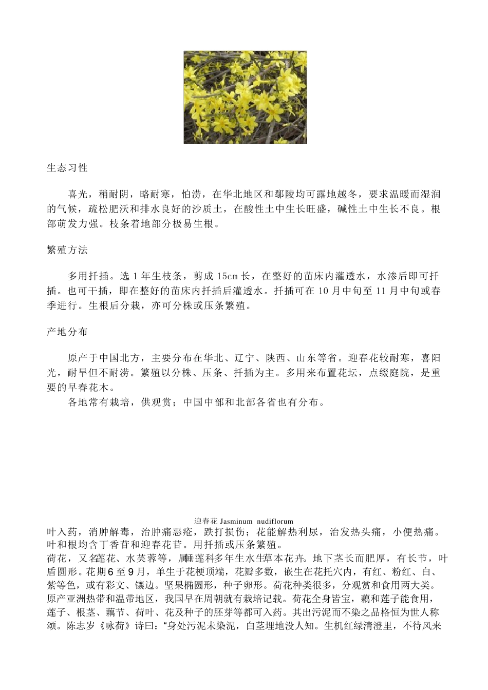一年四季都开什么花_第3页