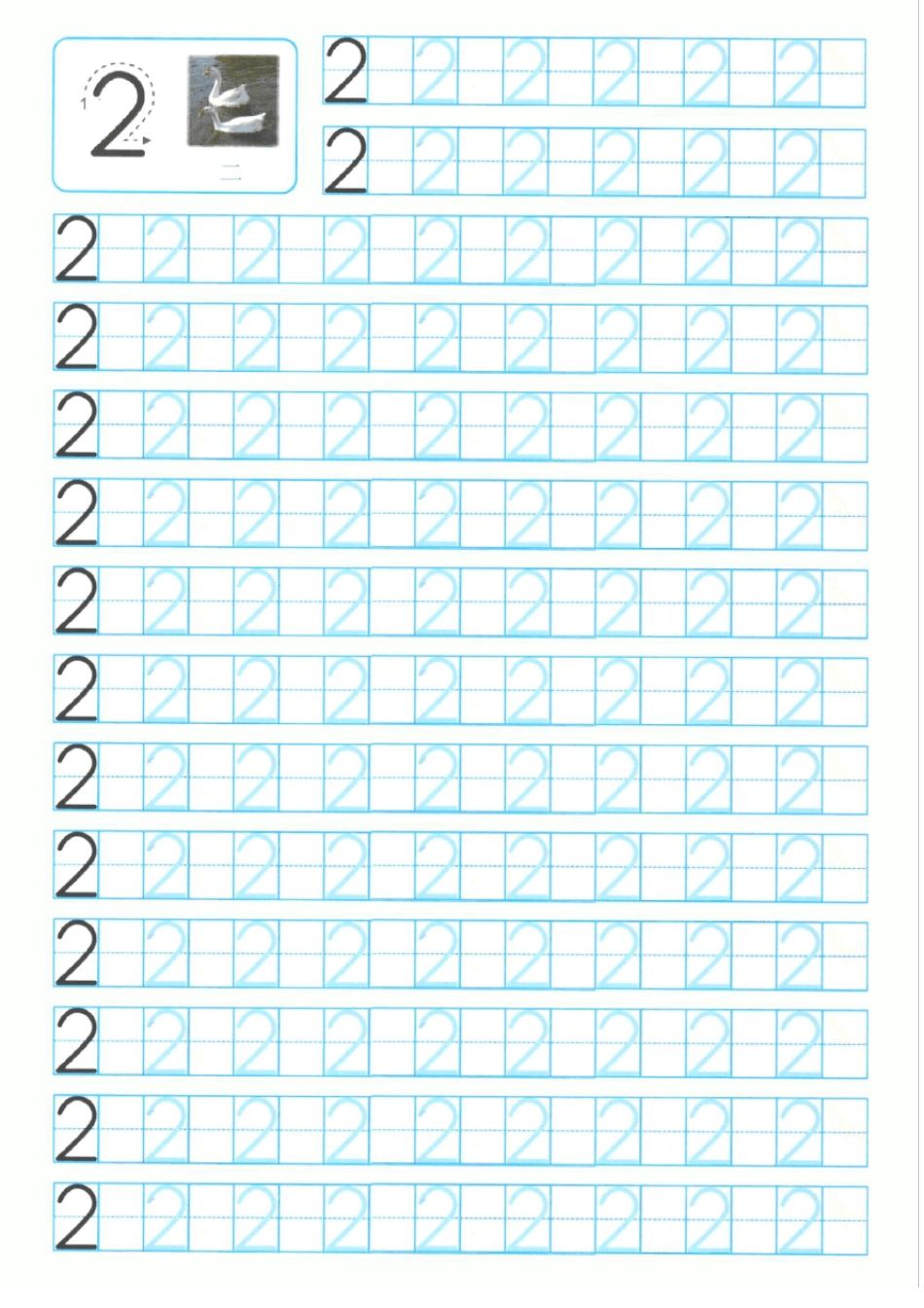 一年级数学上册1~10田字格数字描红(左半格标准模板)_第2页