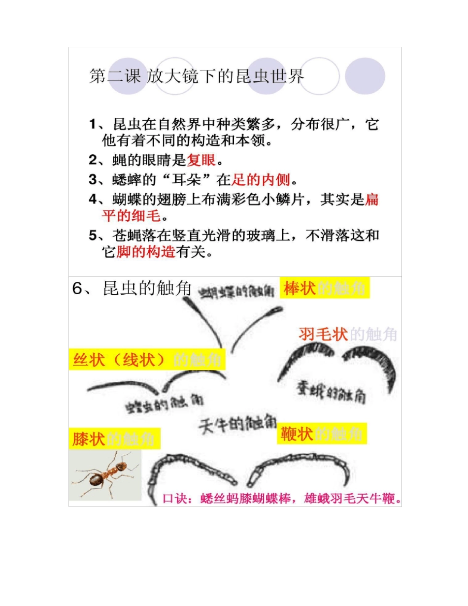 教科版六年级科学下册复习课：微小世界_百度文_第3页