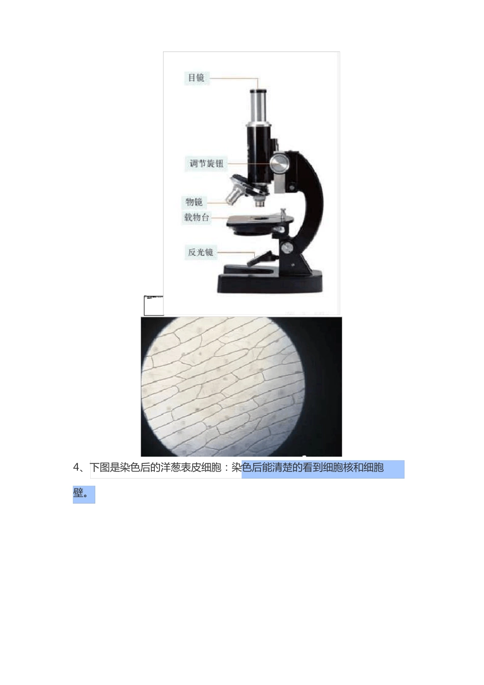 教科版六年级科学下册全册单元知识点_第3页