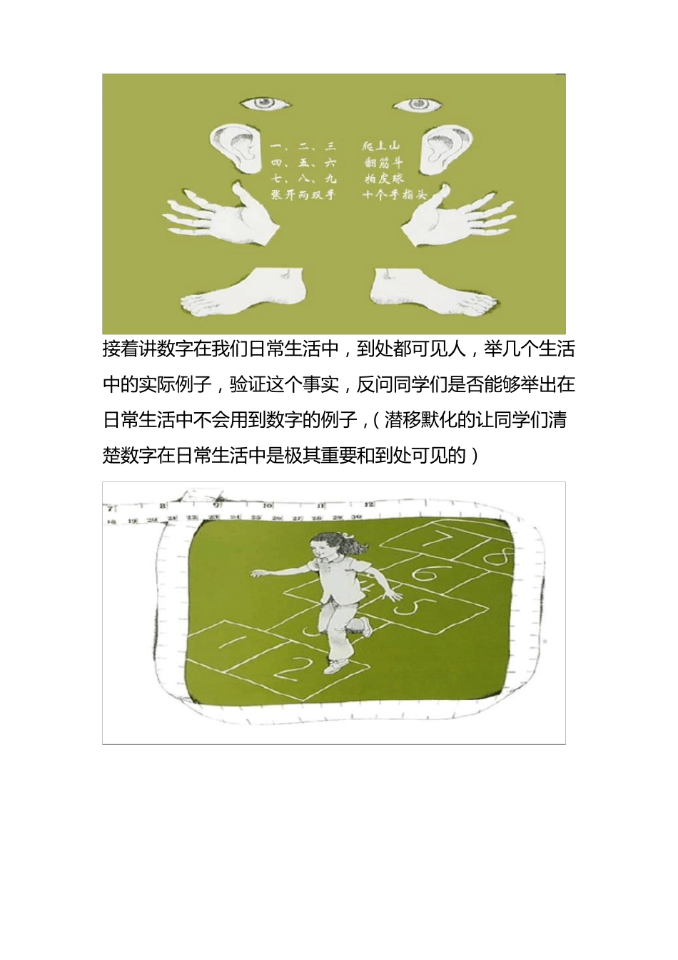 数是怎么来的绘本教案_第3页