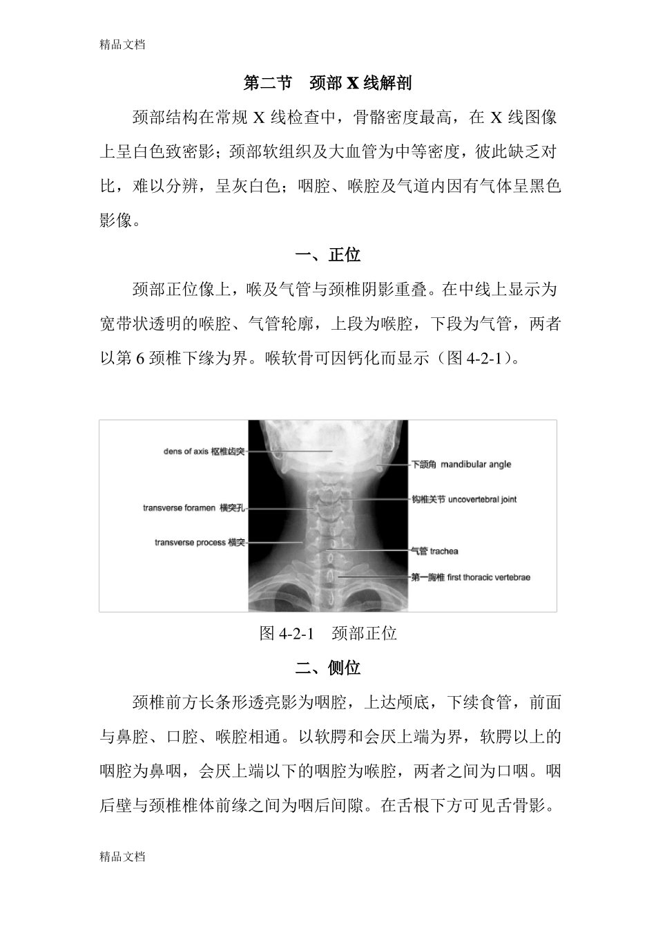 整理颈部影像解剖_第2页
