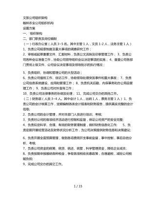 文旅公司组织架构