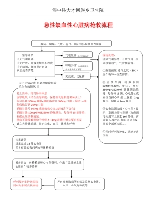 新12种急诊抢救流程图2