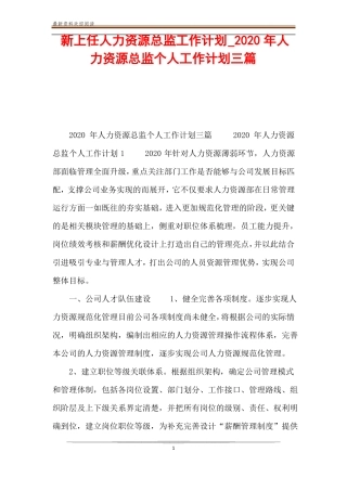 新上任人力资源总监工作计划_2020年人力资源总监个人工作计划三篇