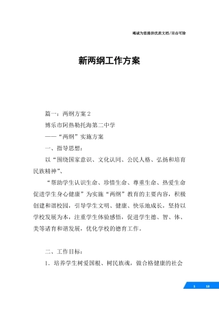 新两纲工作方案