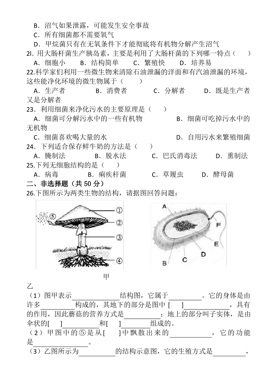 新人教版八年级生物学上第四五章细菌真菌病毒检测题及答案_第3页