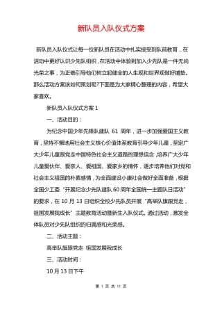 新队员入队仪式方案