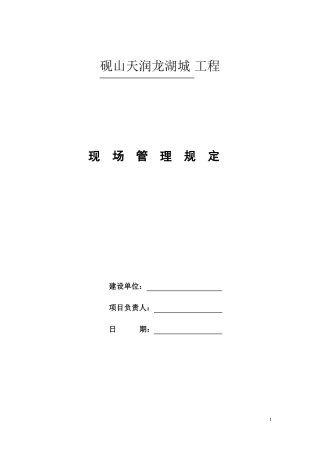施工项目管理及罚款