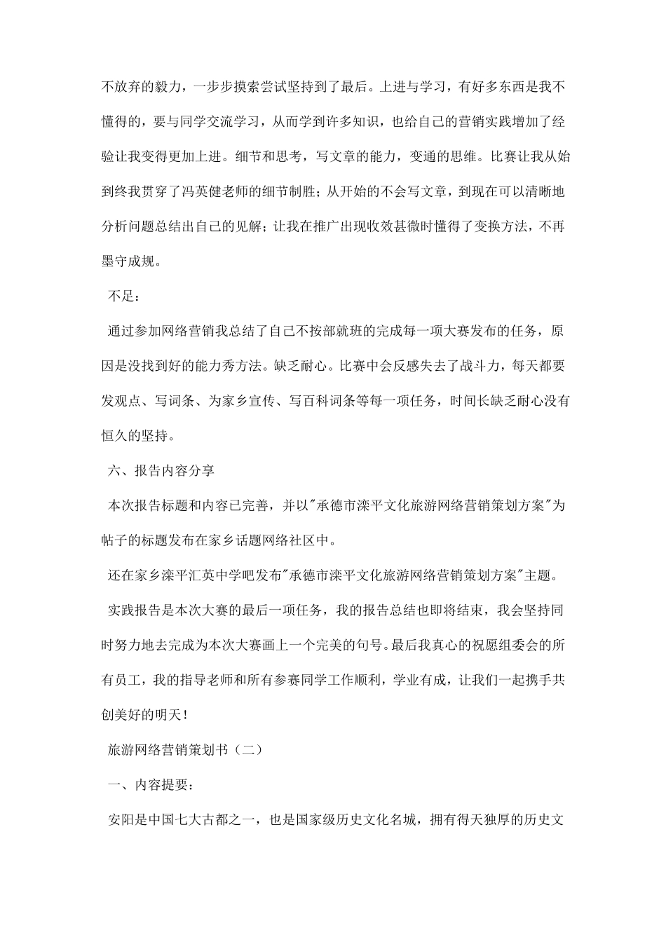 旅游网络营销策划书_第3页