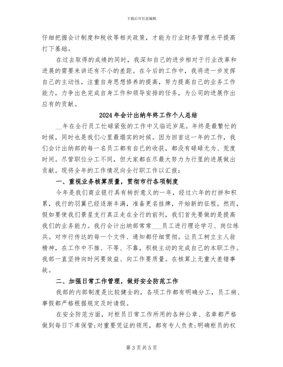 2024年会计出纳年度总结_第3页