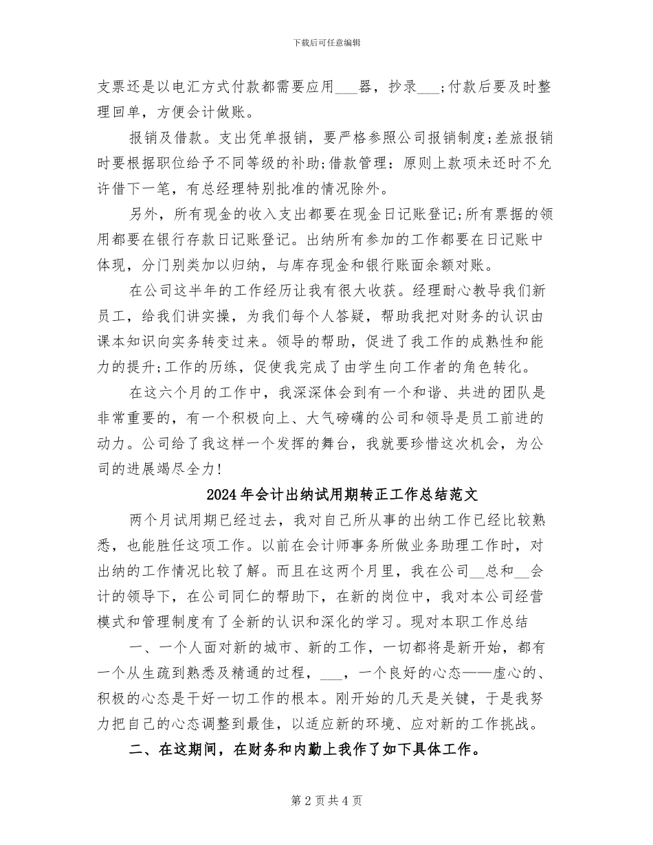 2024年会计出纳试用期转正工作总结_第2页