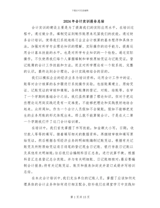 2024年会计实训报告总结