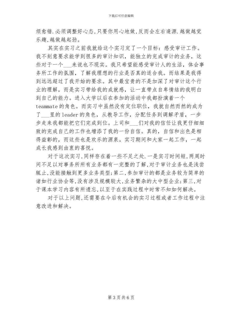 2024年会计师事务所实习总结_第3页
