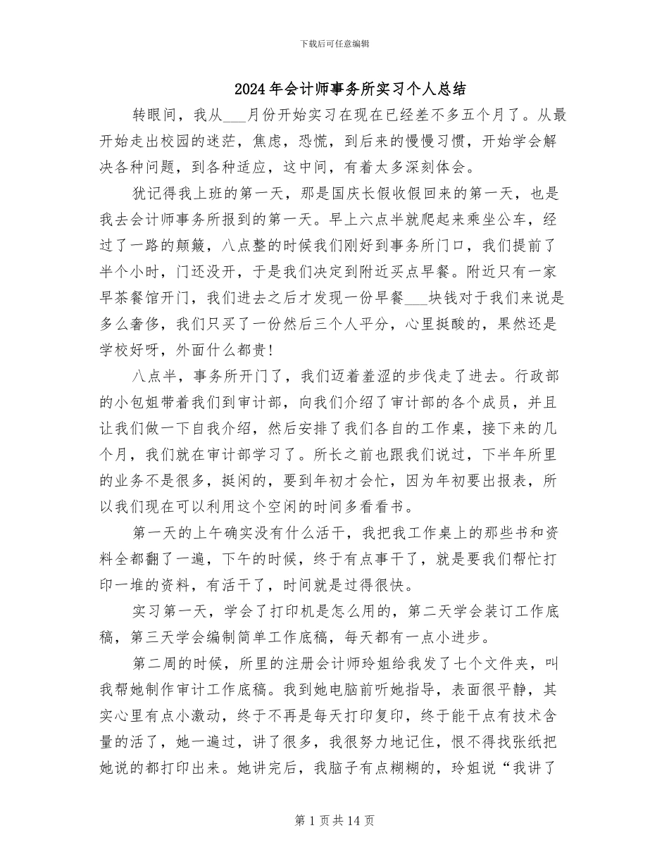 2024年会计师事务所实习个人总结_第1页
