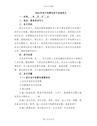 2024年会计电算化实习总结范文