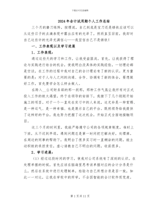 2024年会计试用期个人工作总结