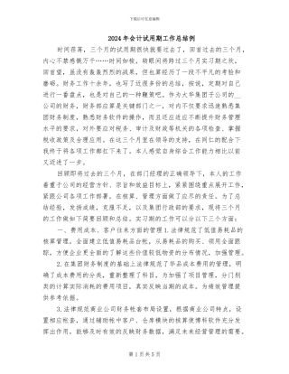 2024年会计试用期工作总结例