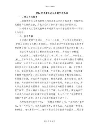 2024年传媒公司试用期工作总结