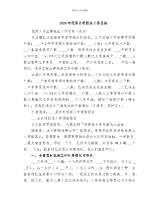 2024年低保分析报告工作总结