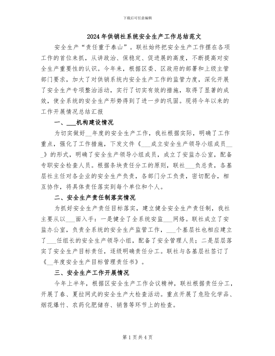 2024年供销社系统安全生产工作总结范文_第1页