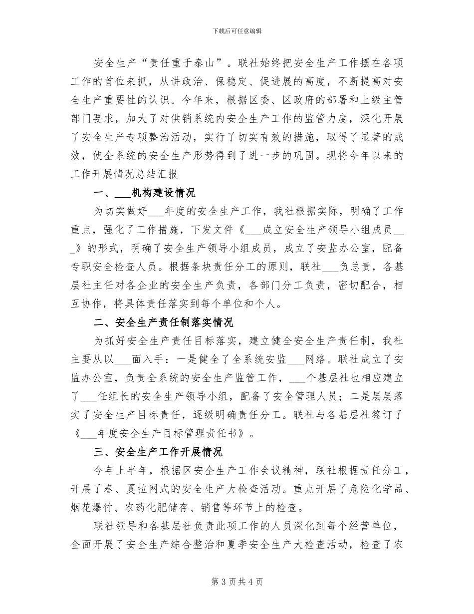 2024年供销社系统安全生产工作总结范文_第3页