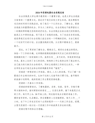 2024年促销电器社会实践总结