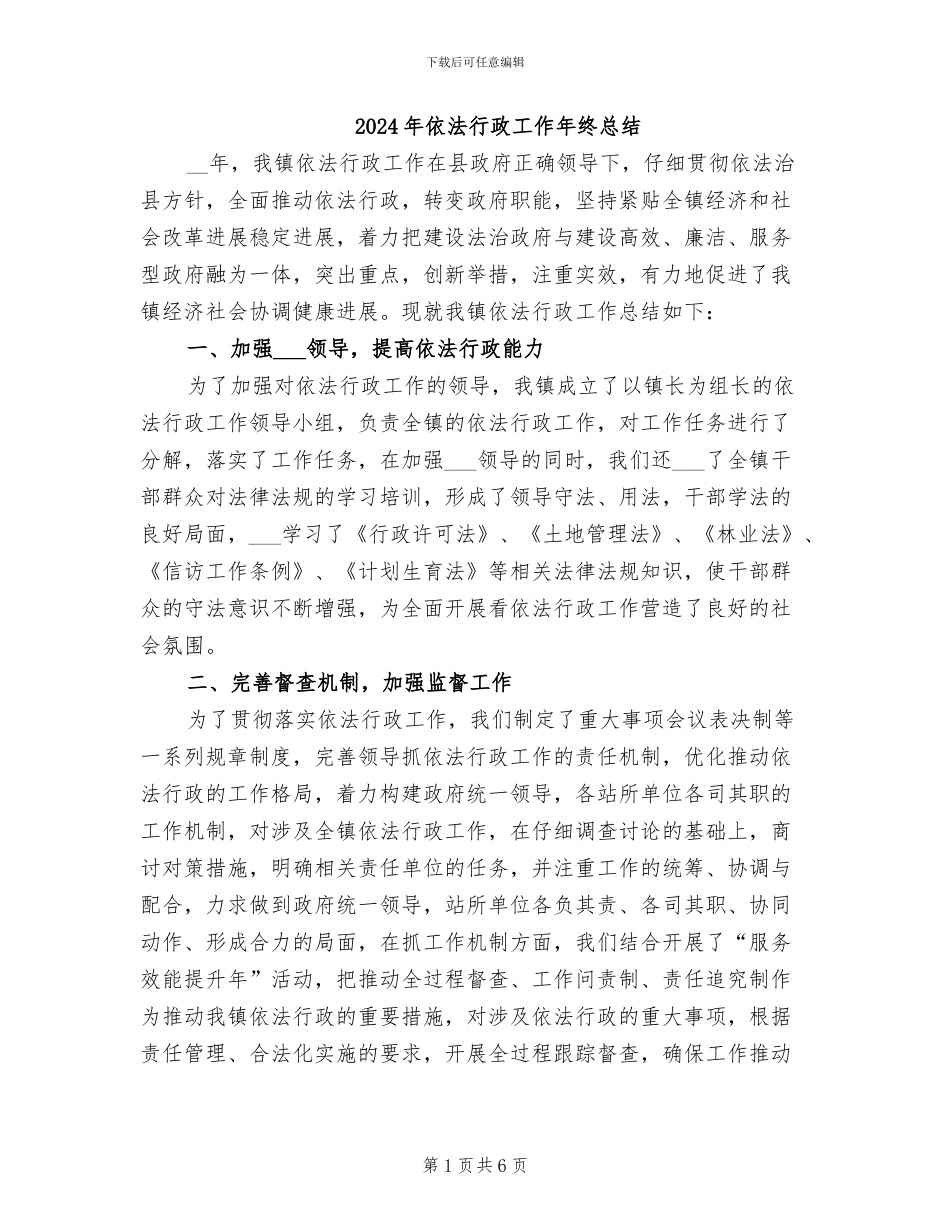 2024年依法行政工作年终总结_第1页