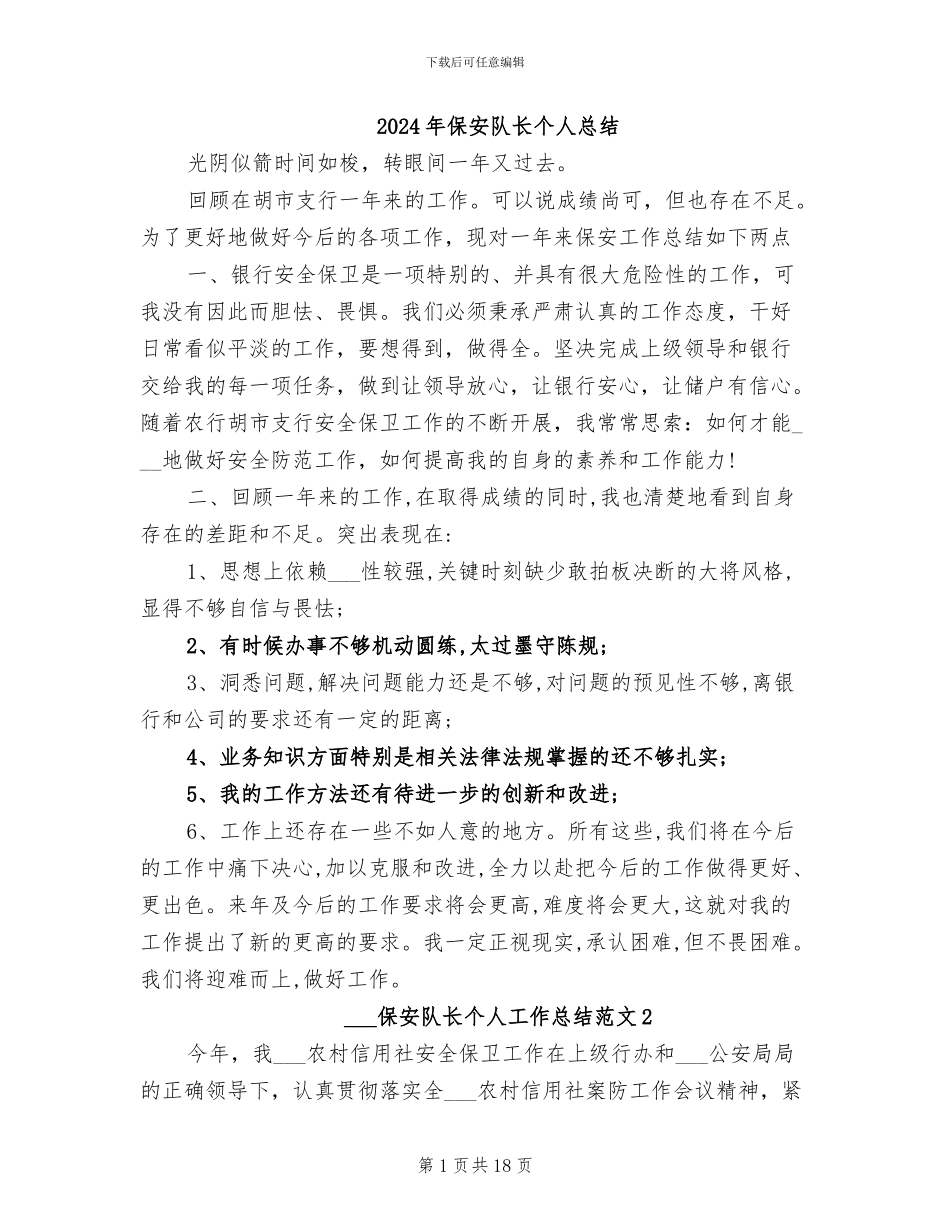 2024年保安队长个人总结_第1页