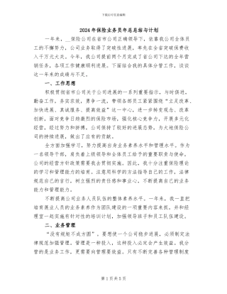 2024年保险业务员年总总结与计划