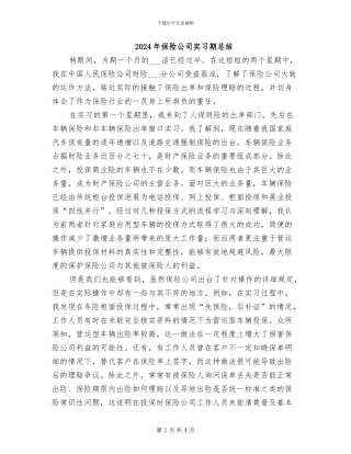 2024年保险公司实习期总结