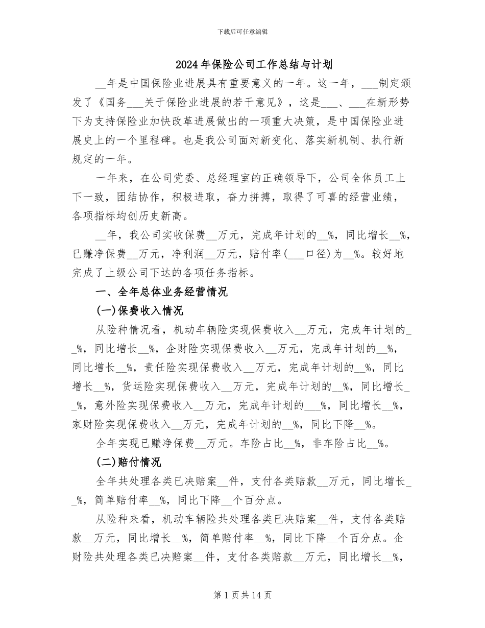 2024年保险公司工作总结与计划_第1页
