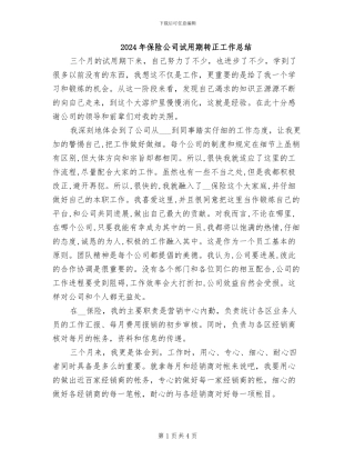 2024年保险公司试用期转正工作总结