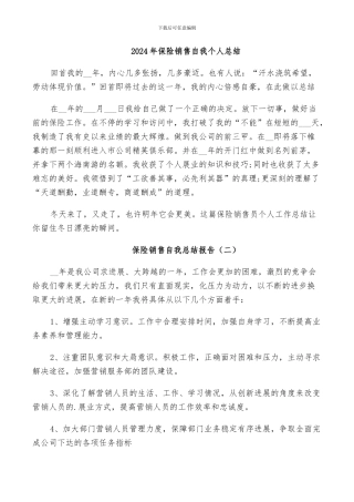 2024年保险销售自我个人总结