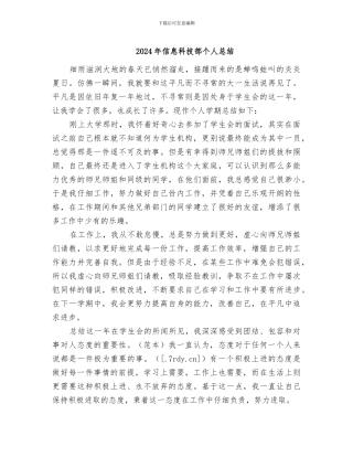 2024年信息科技部个人总结