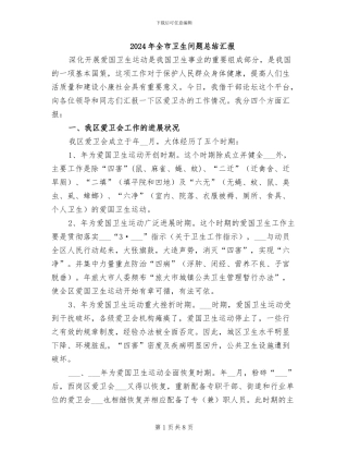 2024年全市卫生问题总结汇报