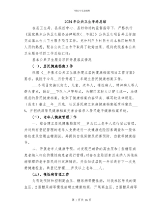 2024年公共卫生年终总结