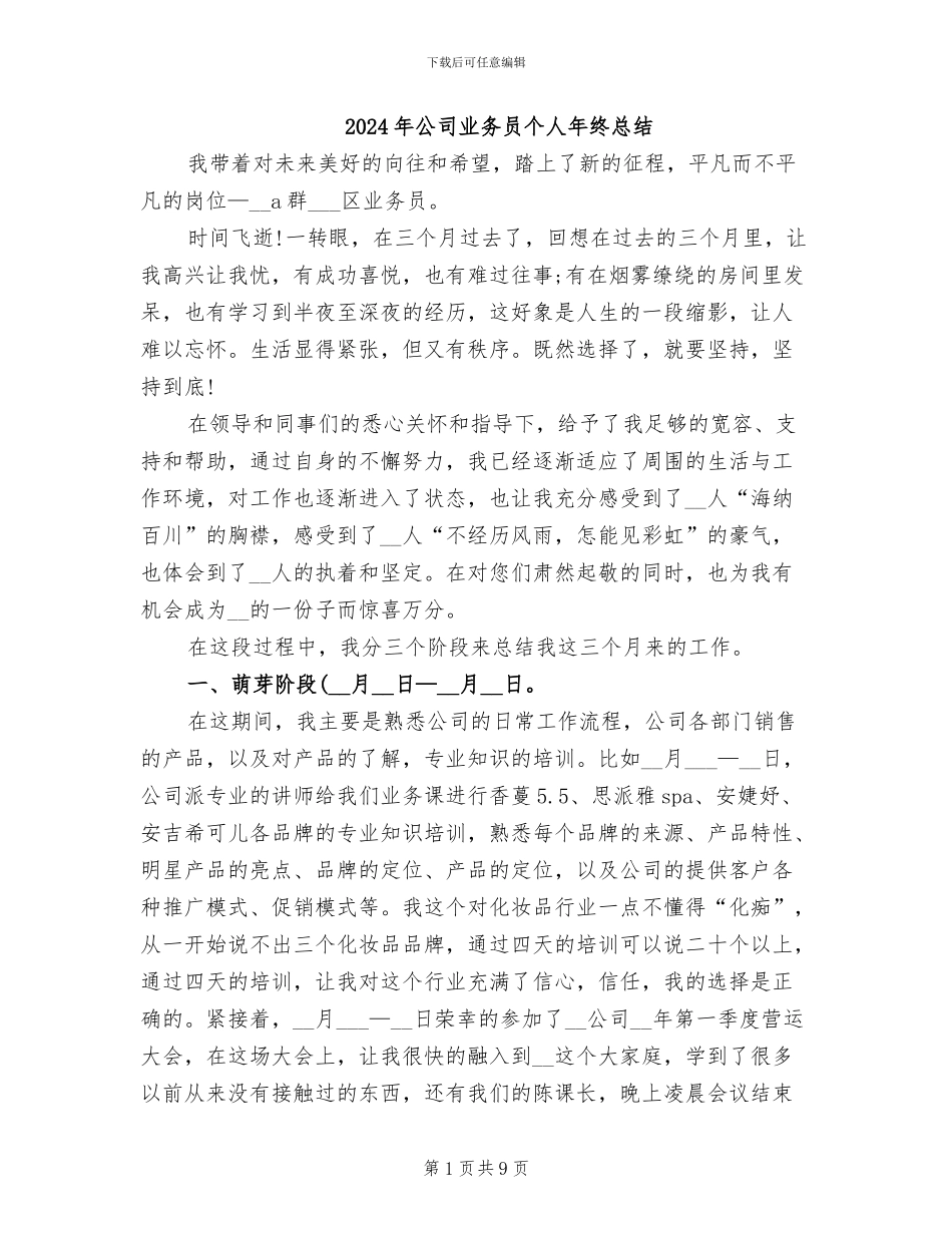 2024年公司业务员个人年终总结_第1页