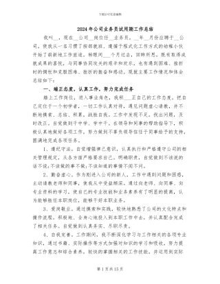 2024年公司业务员试用期工作总结